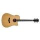 Arrow Gold D CE NT Natural