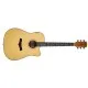 Arrow Silver D CE NT Natural