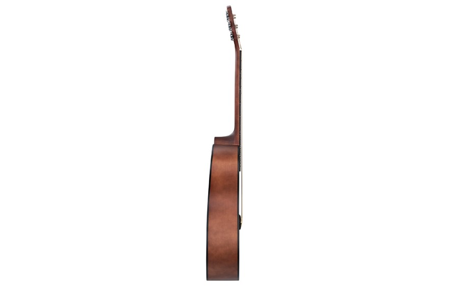 Акустична китара Cascha CGA 110, Studen Series