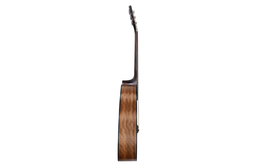 Акустична китара Cascha CGA 300, Dreadnought, Performer Series
