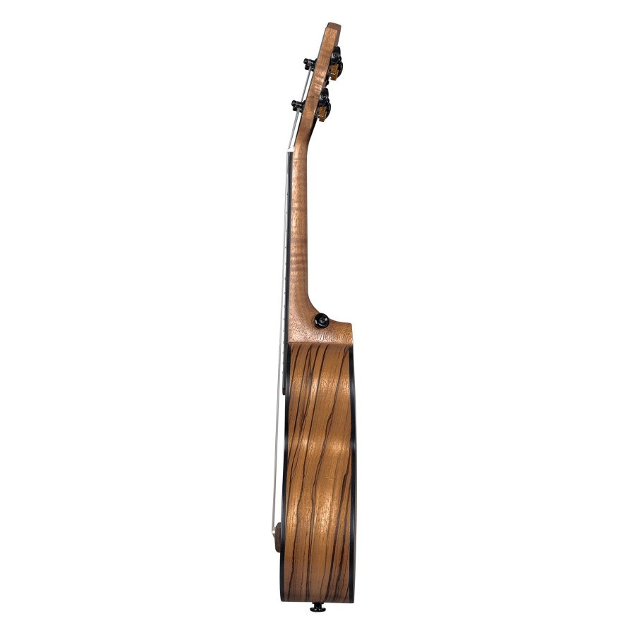 Сопрано укулеле Cascha CUSZW1 Zebra Wood