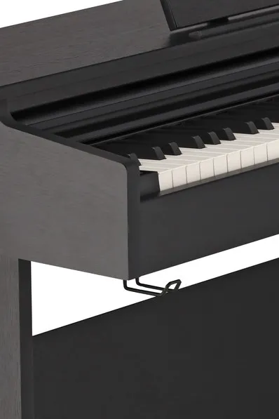 GEWA Digital Piano DP510 - Black