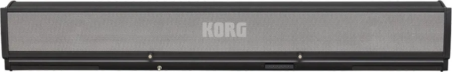 KORG PaAS MK2 Amplification System