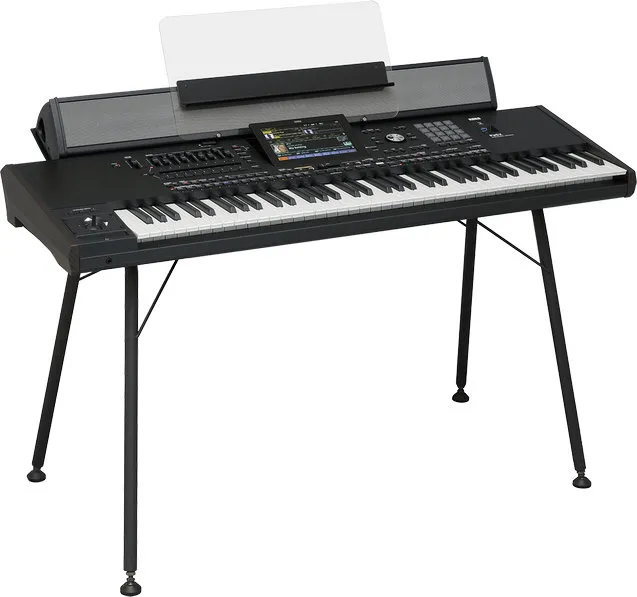 KORG PaAS MK2 Amplification System
