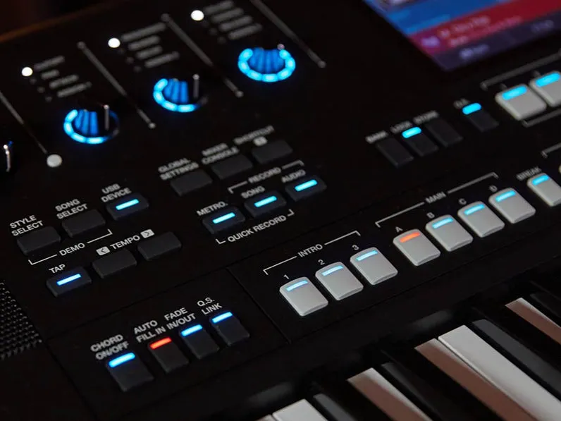 Medeli Arranger Pro Series AKX10s