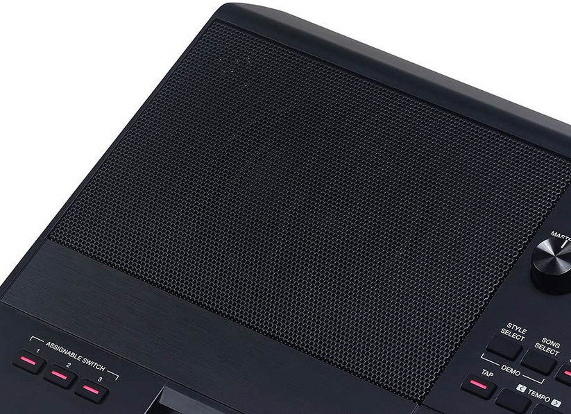 Medeli Arranger Pro Series AKX10s