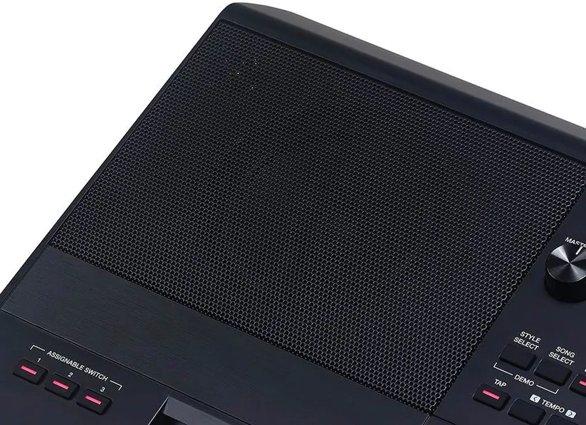 Medeli Arranger Pro Series AKX10s