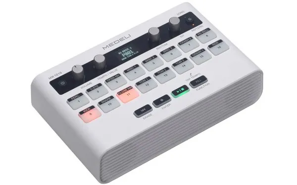 Medeli MR101s