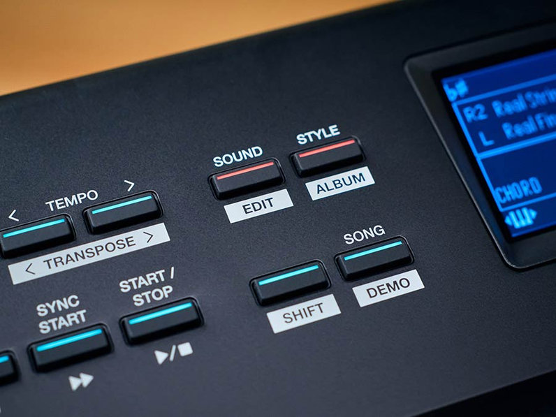 Medeli Performer Series SP-A5000/BK