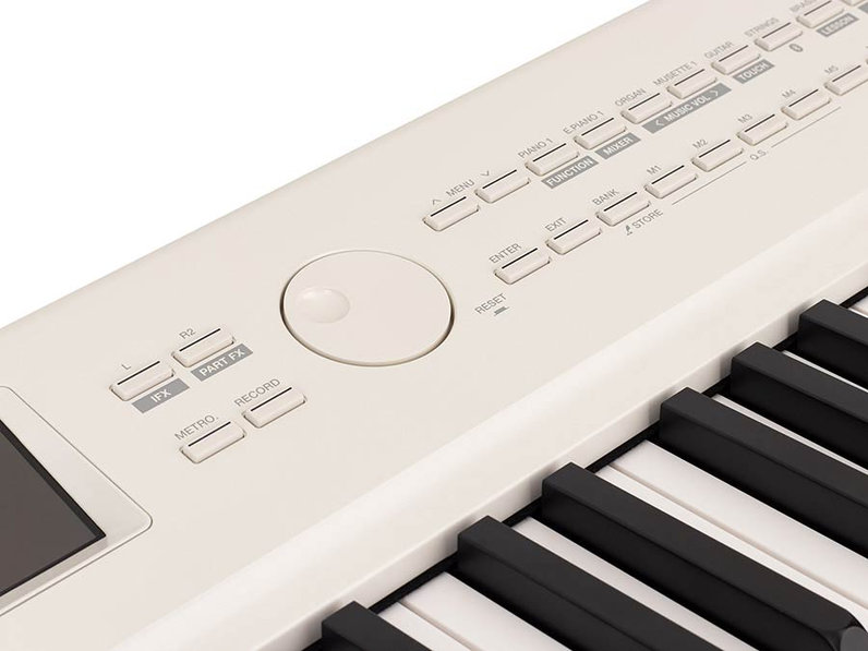 Medeli Performer Series SP-A5000/WH