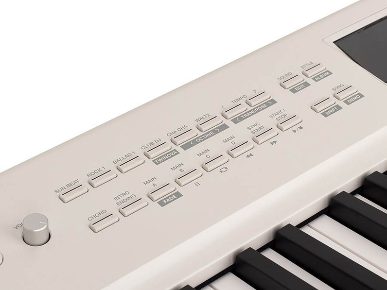 Medeli Performer Series SP-A5000/WH