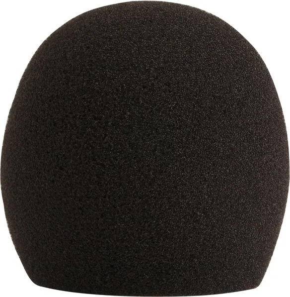 Shure A58WS