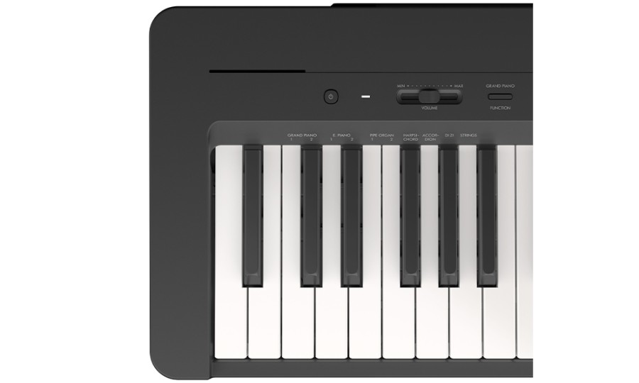 Yamaha P-145 B
