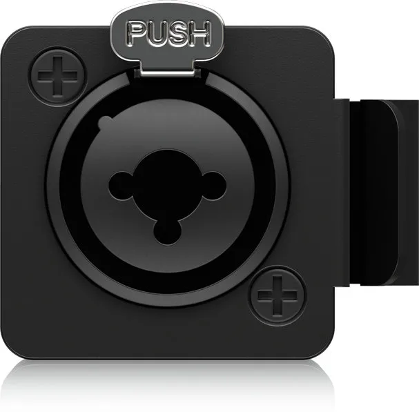 Behringer P2