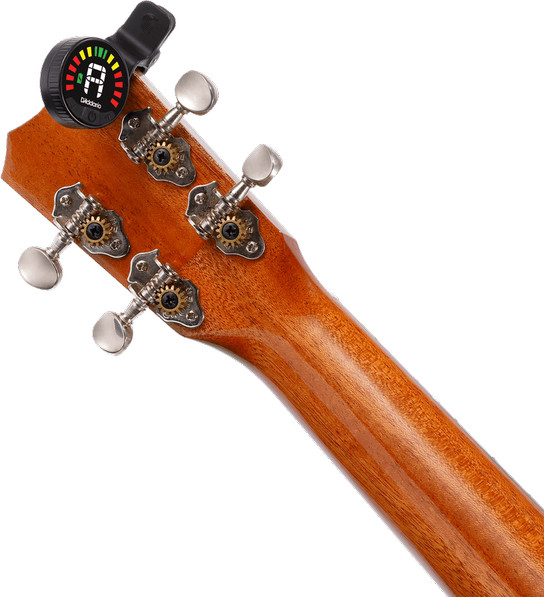 Daddario PW-CT-26