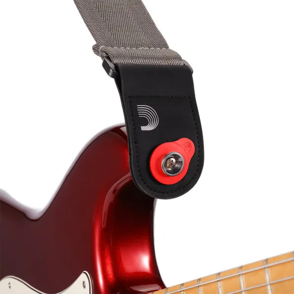 Daddario PW-FLSB-04RD