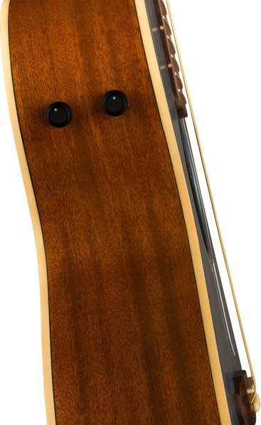 Fender Newporter Player
