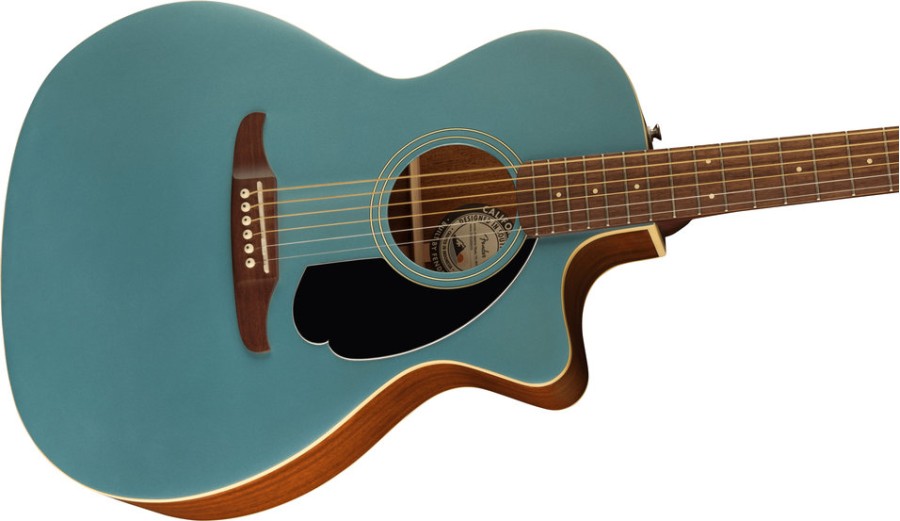 Fender Newporter Player
