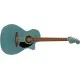 Fender Newporter Player