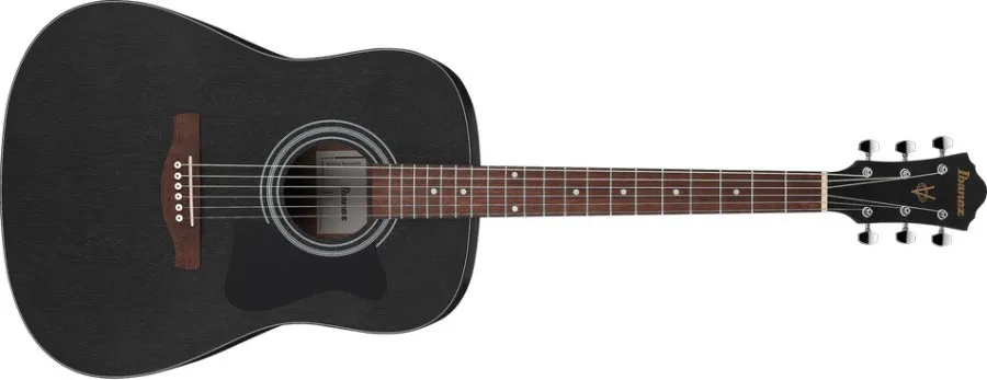 Ibanez V54NJP WK