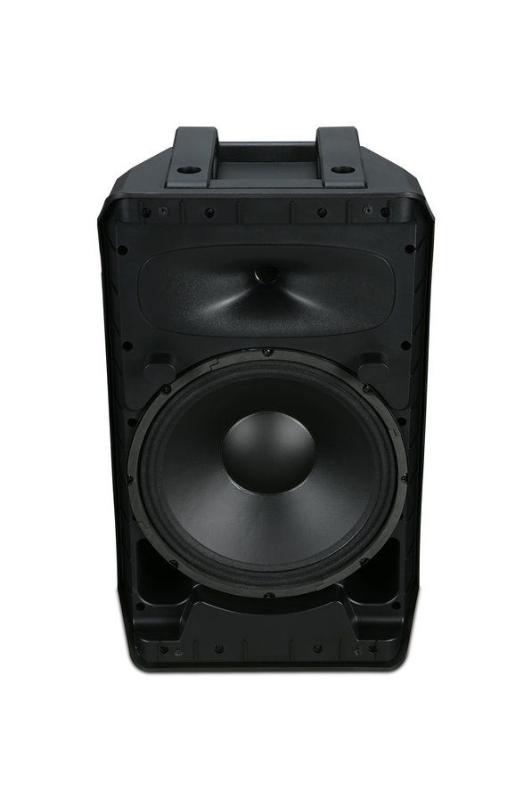 Wharfedale Pro TYPHON AX-12-MBT