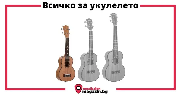 Укулеле - всичко, което трябва да знаете за него