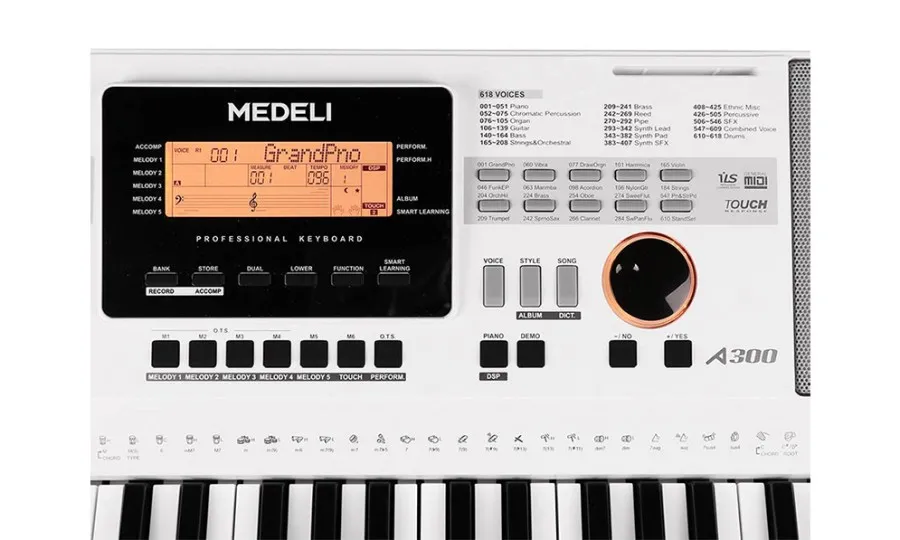 Medeli Aspire Series A300W