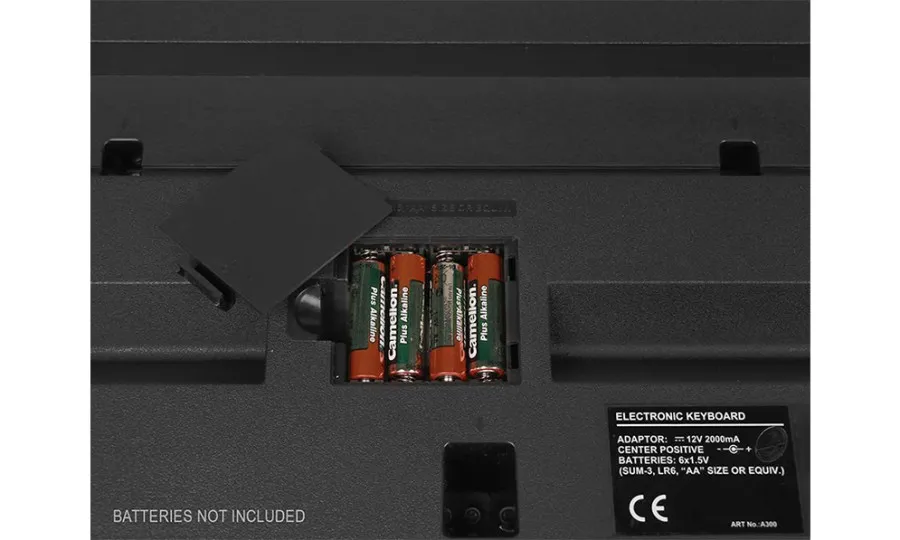 Medeli Aspire Series A300W