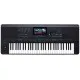 Medeli Arranger Pro Series AKX10