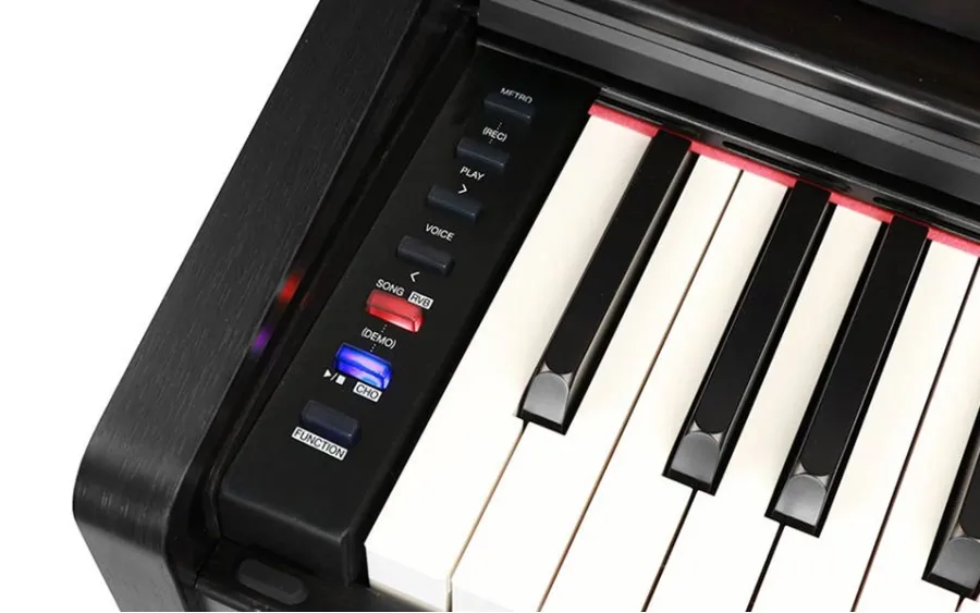 Medeli Intermezzo Series DP260/BK