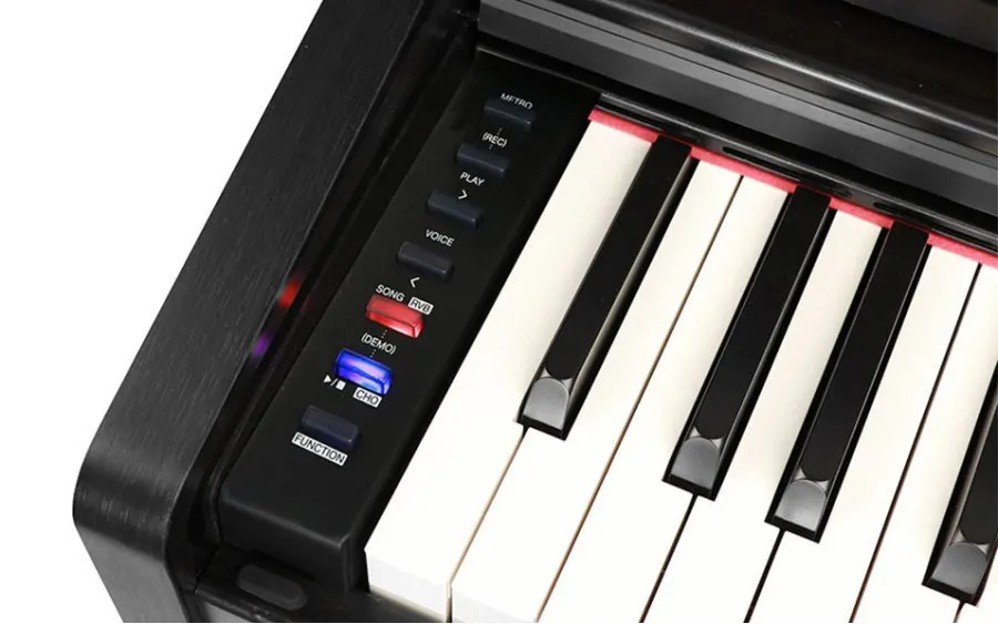 Medeli Intermezzo Series DP280/BK