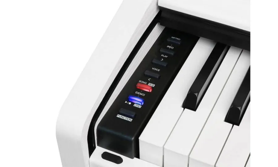 Medeli Intermezzo Series DP280K/WH
