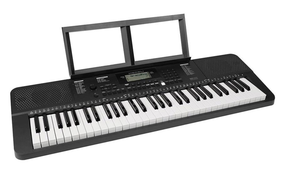 Medeli Millenium Series MK100