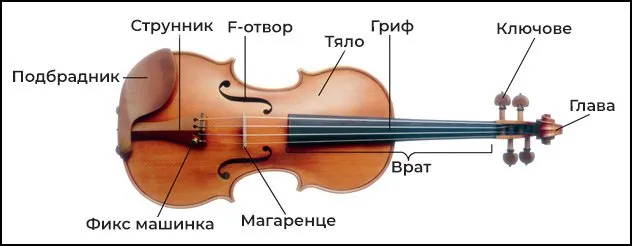 komponenti-na-cigulkata