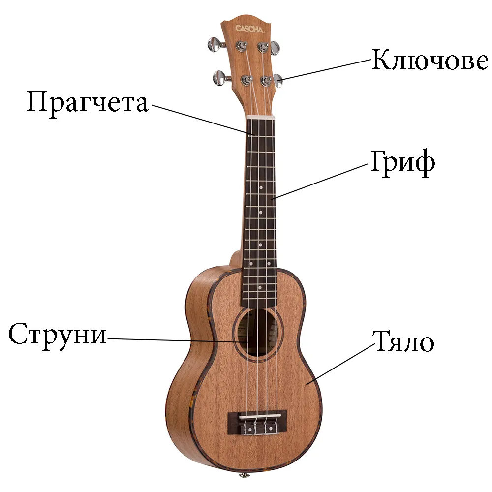 Анатомия на укулелето