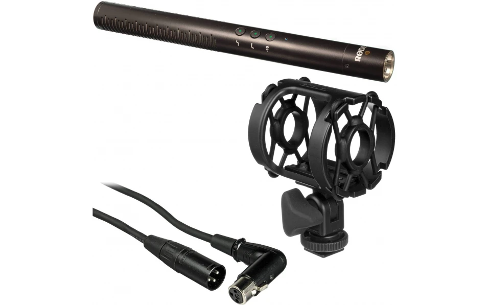 RODE NTG-4