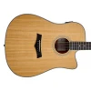 Arrow Gold D CE NT Natural