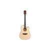 Акустична китара Cascha CGA 200, Stage Series, Dreadnought, Spruce Top