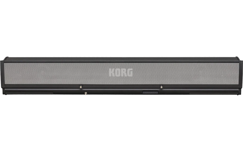 KORG PaAS MK2 Amplification System