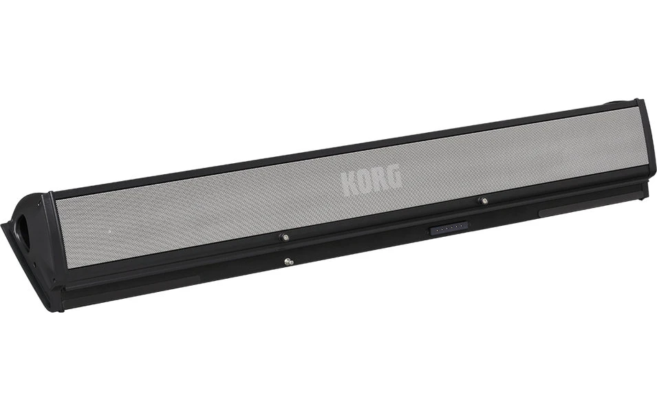 KORG PaAS MK2 Amplification System
