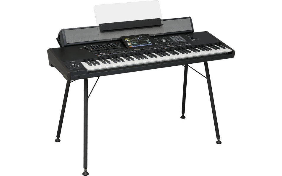 KORG PaAS MK2 Amplification System