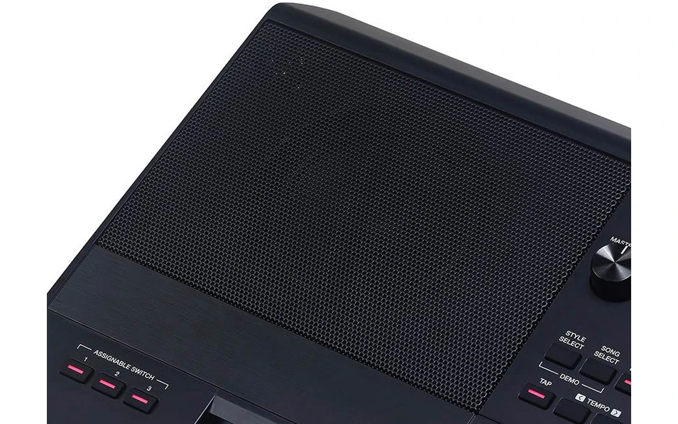 Medeli Arranger Pro Series AKX10s
