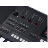 Medeli Arranger Pro Series AKX10s