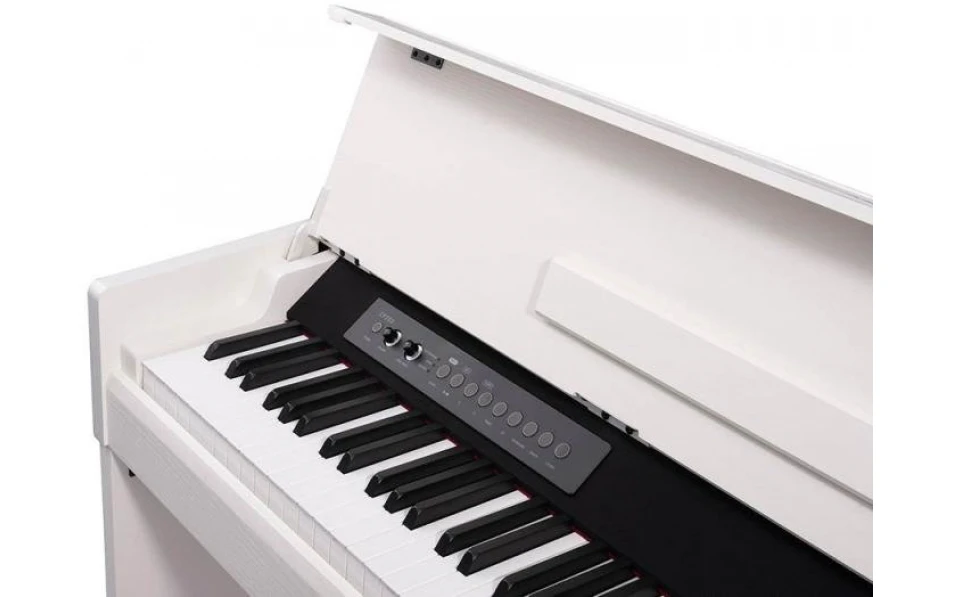 Medeli Andromeda Series CP203/WH