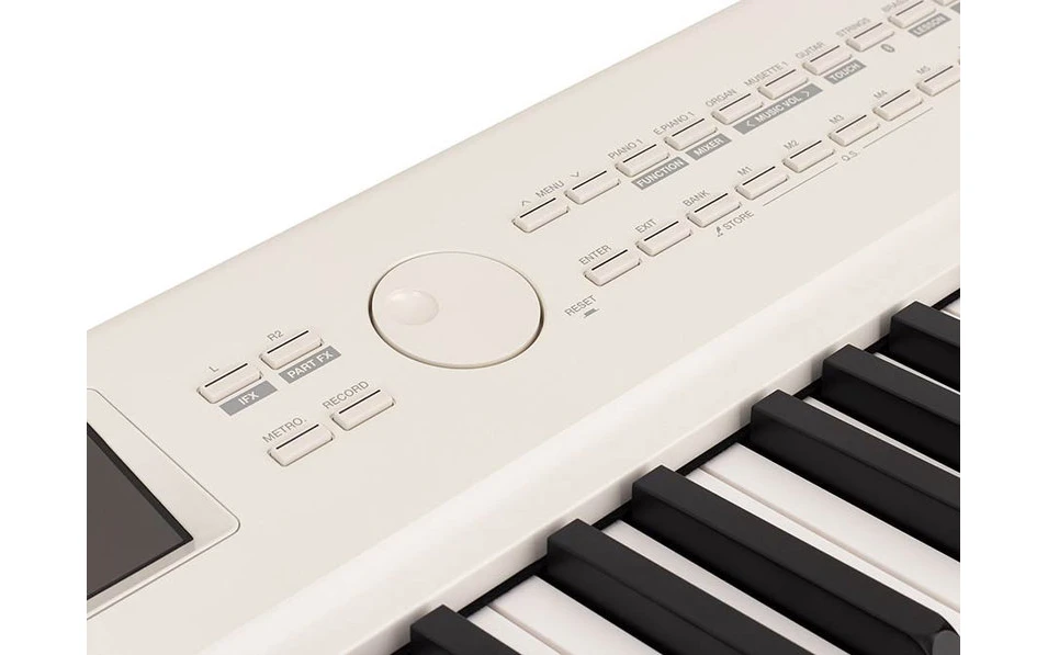 Medeli Performer Series SP-A5000/WH