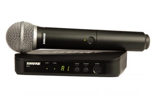 Shure BLX24/PG58
