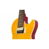 Epiphone SLASH "AFD" LP SPECIAL II Outfit