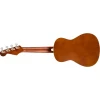 Fender Avalon Tenor Ukulele NAT WN