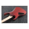 Ibanez RG421PB CHF