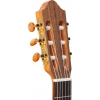 Kremona Rondo R65CW TL-T